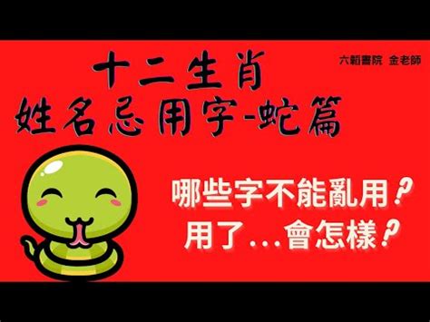 屬蛇名字|【生肖姓名學】蛇 宜用字 (喜用字、免費姓名學 ...